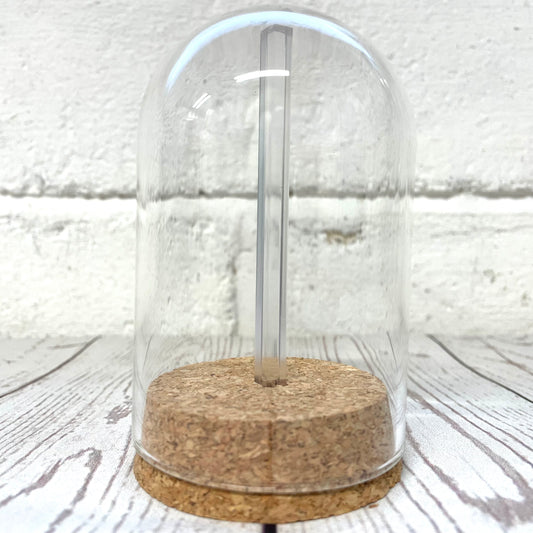 1 x Glass Dome Cloche Display Bell Jar Cork Base with Perspex Mount 10cm x 6.5cm
