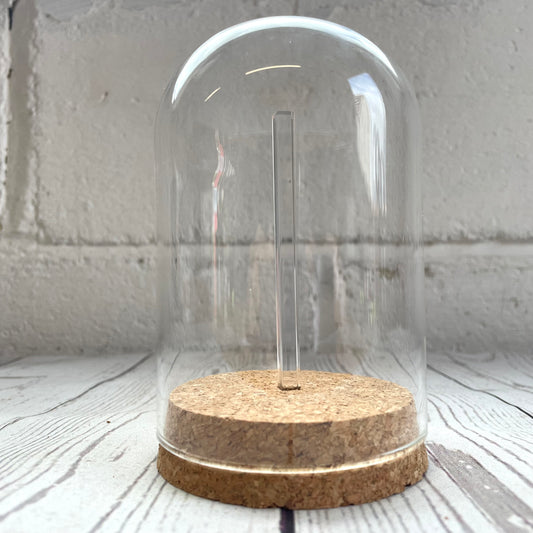 1 x Glass Dome Cloche Display Bell Jar Cork Base with Perspex Mount 12cm x 8cm
