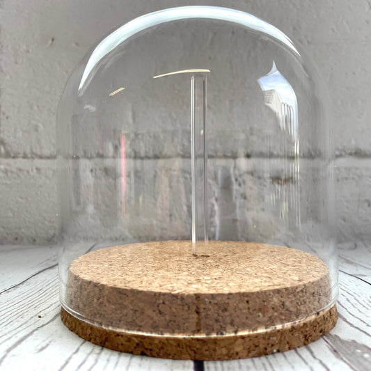 1 x Glass Dome Cloche Display Bell Jar Cork Base with Perspex Mount 12cm x 12cm