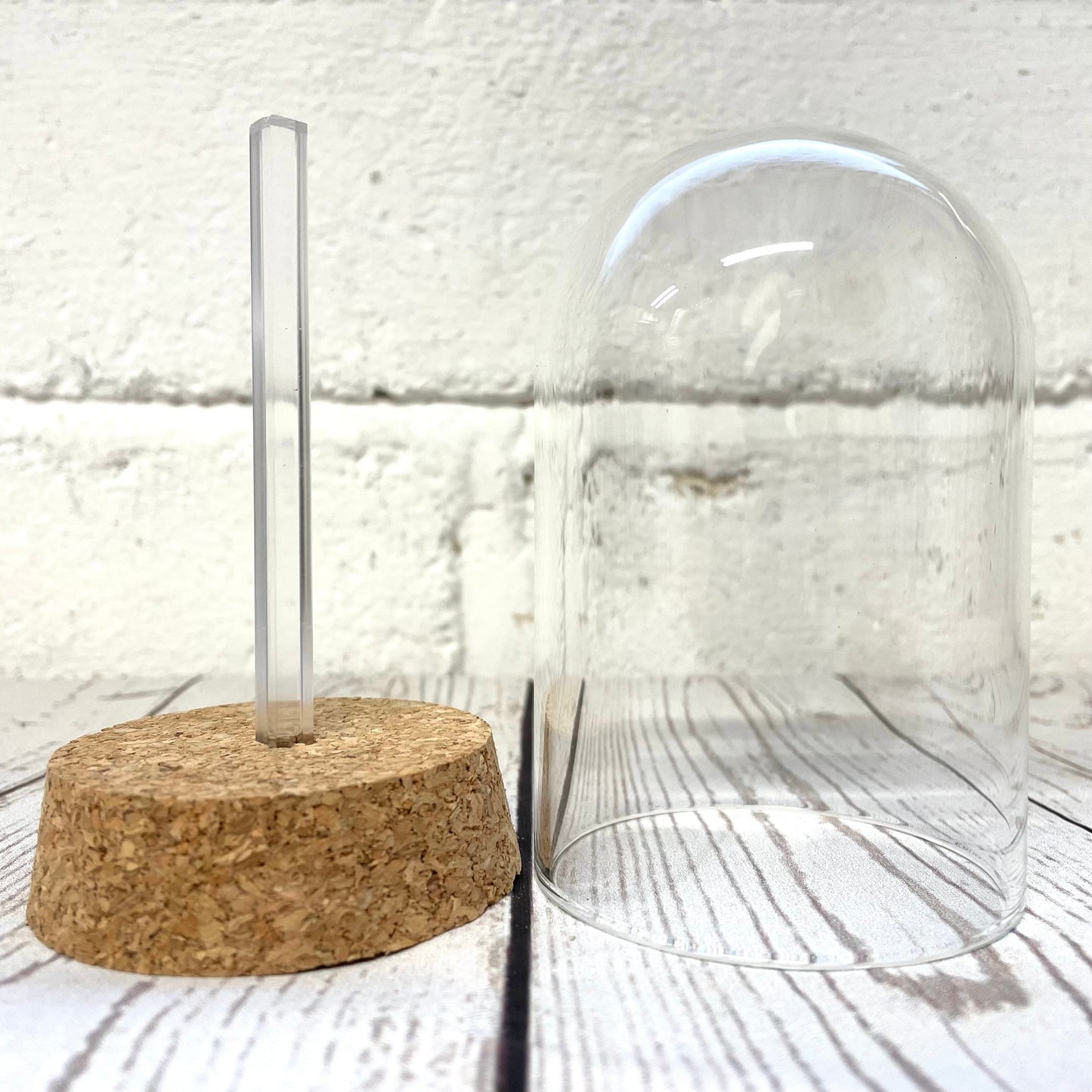 1 x Glass Dome Cloche Display Bell Jar Cork Base with Perspex Mount 10cm x 6.5cm