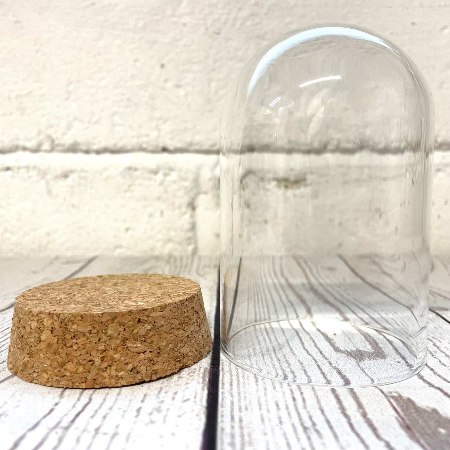 1 x Glass Dome Cloche Display Bell Jar Cork Base with Perspex Mount 10cm x 6.5cm