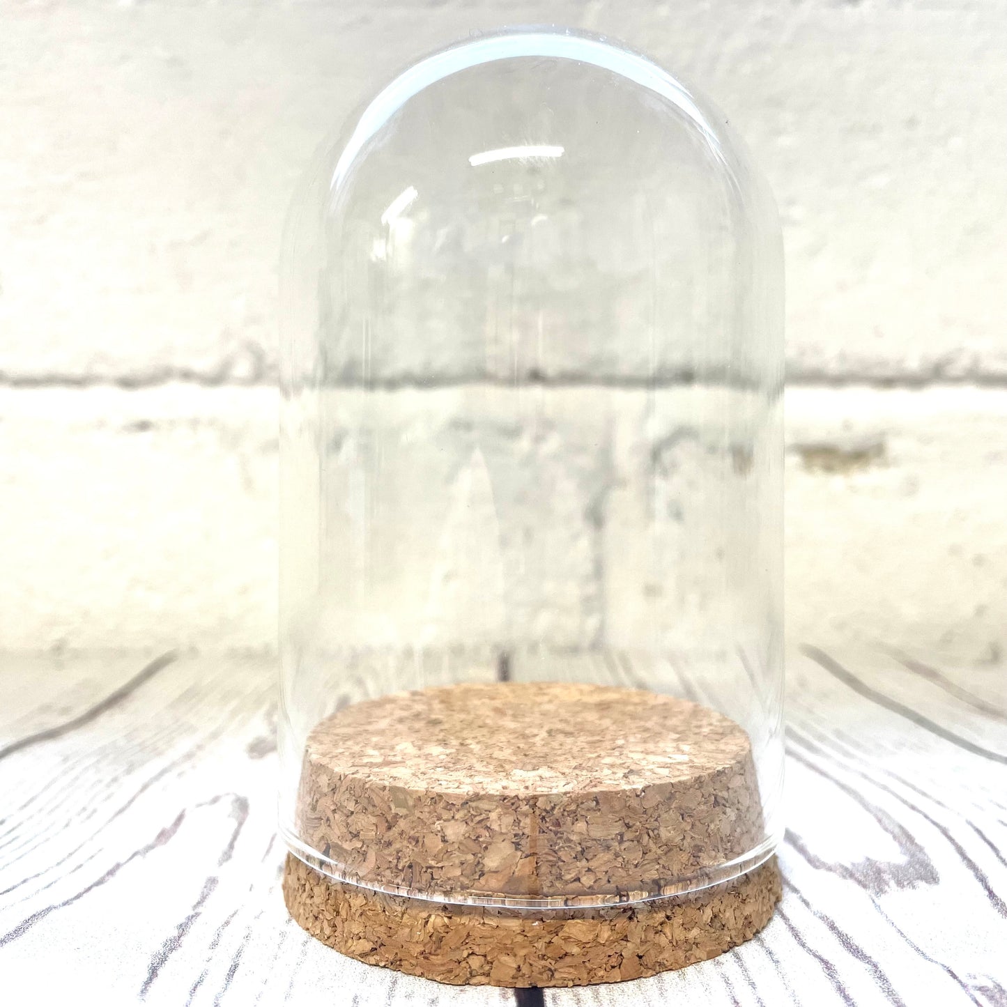 1 x Glass Dome Cloche Display Bell Jar Cork Base with Perspex Mount 10cm x 6.5cm