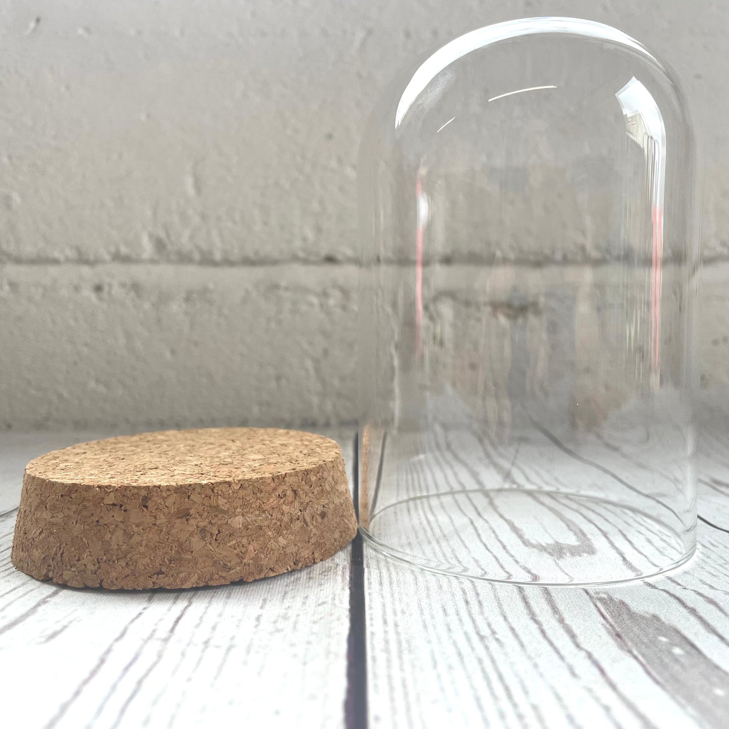 1 x Glass Dome Cloche Display Bell Jar Cork Base with Perspex Mount 12cm x 8cm