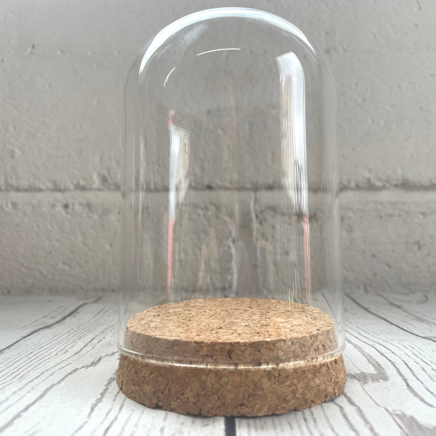 1 x Glass Dome Cloche Display Bell Jar Cork Base with Perspex Mount 12cm x 8cm