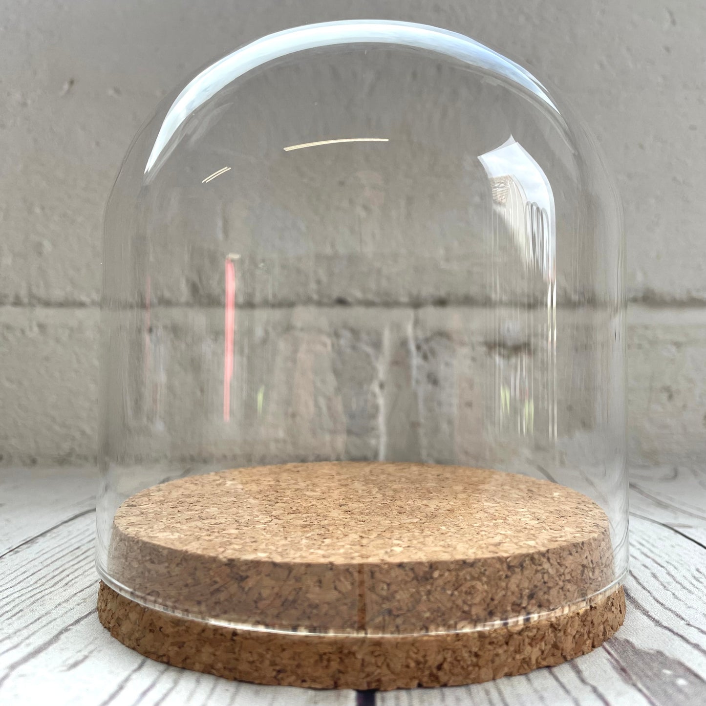 1 x Glass Dome Cloche Display Bell Jar Cork Base with Perspex Mount 12cm x 12cm