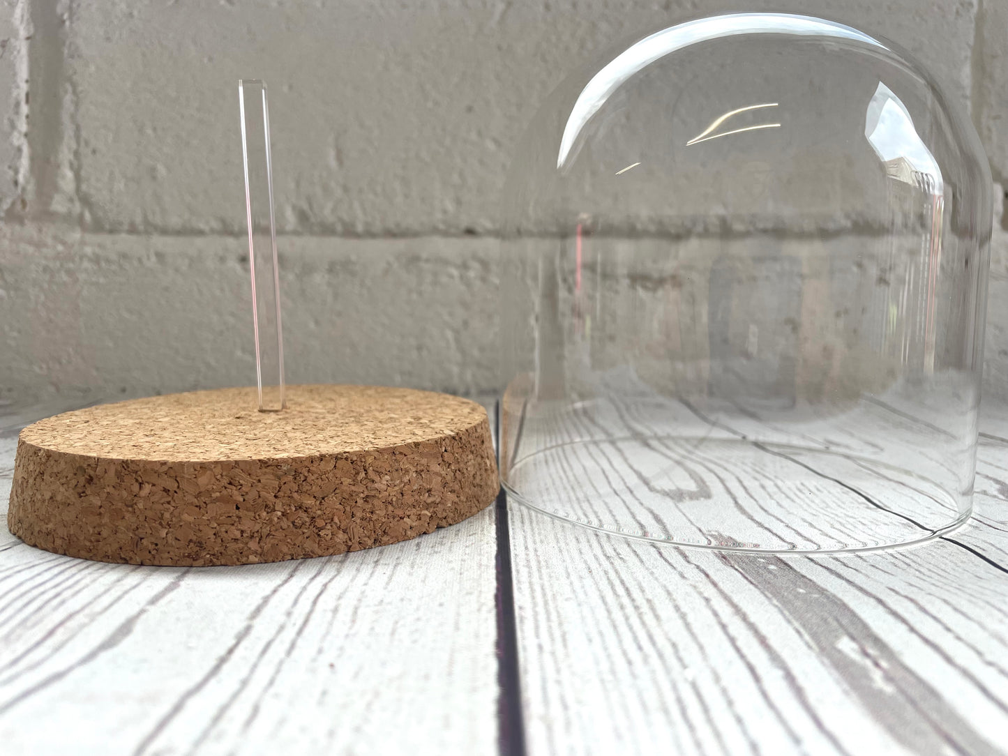 1 x Glass Dome Cloche Display Bell Jar Cork Base with Perspex Mount 12cm x 12cm